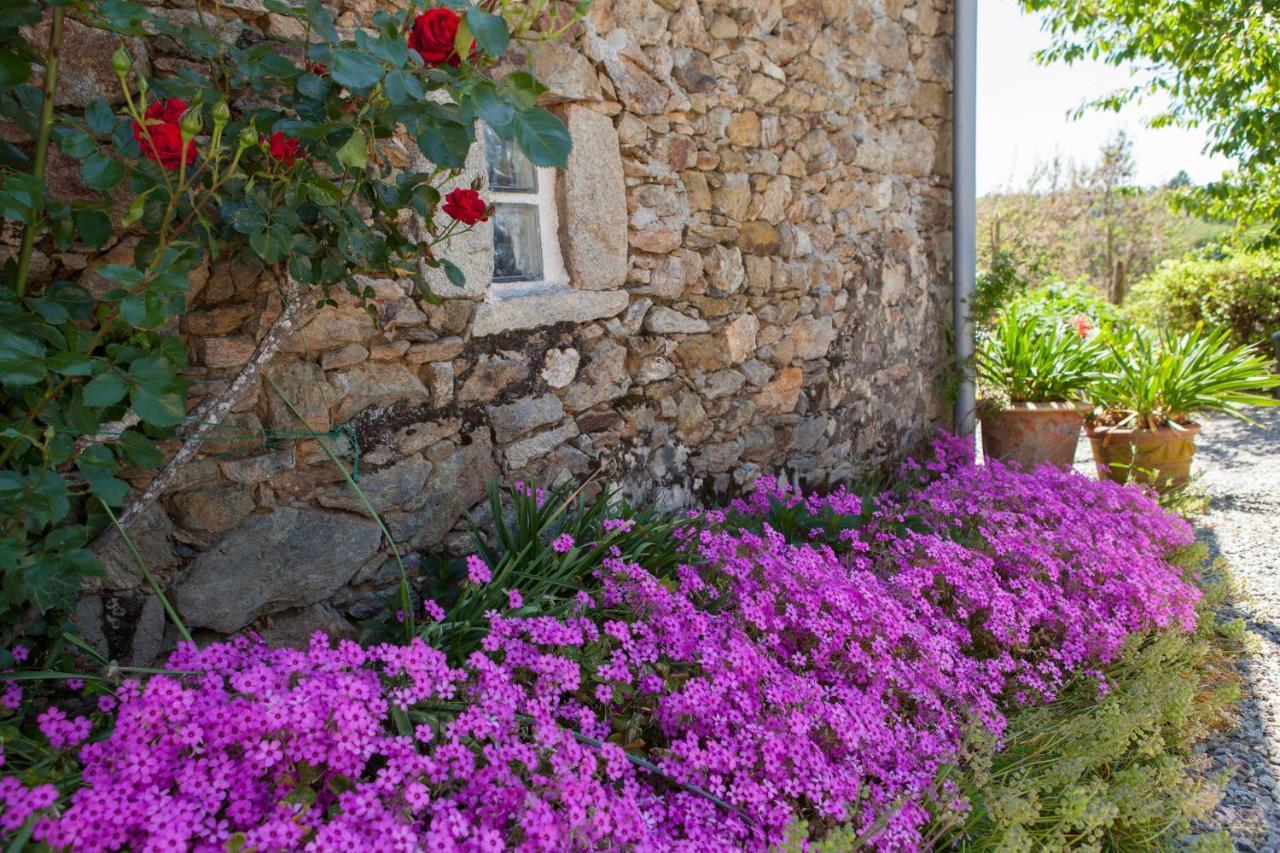 B&B Fleur De Lys Bleue Soudaine-Lavinadière Exterior foto